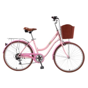 CE Single Speed City Bike Bicycle 24 Inch City Bike for Man and Women city Bike in Europe for Sale