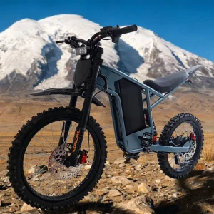 CS-F1 Electric Off-Road Bike 19 &17Inch Tubeless Tire 1500W Motor 43km/h 30km Range Dual Suspension E-MTB for Mountain Urban
