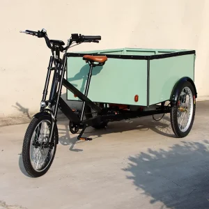 Cabin Cargo Tricycle 3 Wheel Heavy Load with Box for Adults