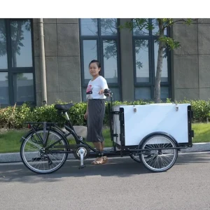Cafe Bike With Three Wheels 24 Inch 7 Speeds/inter 3 Speeds Cargo Bike GB 9005B