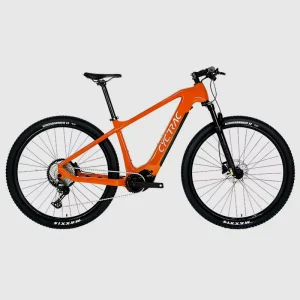Carbon Bike Bafang M510 Mid Motor 250w Mountain 29 Inch Emtb With Hidden Battery for Men