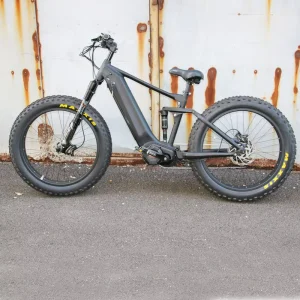 Carbon Fiber Fat Tire Electric Bike 1000W Mid Drive Electric Bike Made in China