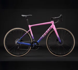 Carbon Fibre Racing Low Rider Bicycle 22 Speed Road Bike Bicicleta Cycle for Man