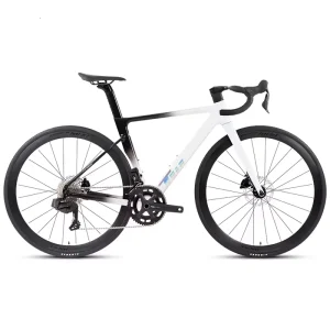 Carbon Fibre Road STEALTH Pro Bicycle Light Weight Twitter Road Bike T8 700C Hydraulic Disc Brake Racing 22 Speed