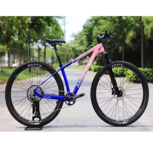 Carbon Mountain Bike 12 Speed Mtb Bike 29er Cross Country Climbing Mountain Bike