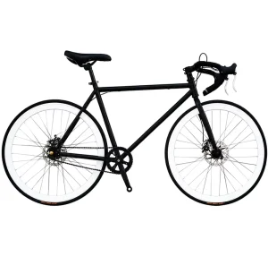 Carbon Road Bike with Dual Disc Brake Hydraulic Brake Road Bicycle