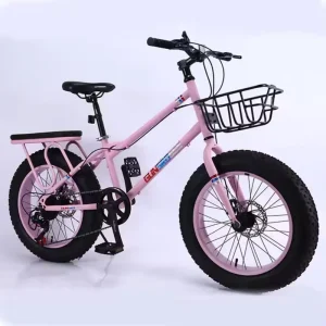 Carbon Steel 20 Inch 7 Speed Spoke Wheel Disc Brake Fashion Men’s Women’s Bicycle Cycling Bike