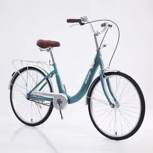Carbon Steel Classic Frame Touring Bicycle Bicikli Bisikleta Old Style City Mountainbike