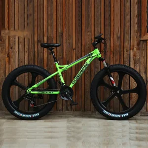 Carbon Steel Mountain Bike Bicycle Mountain Bike