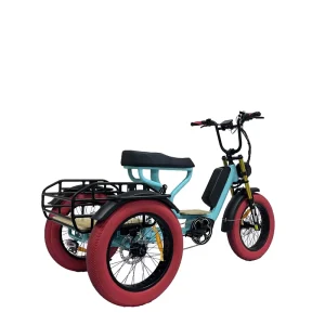 Cargo 3-Wheel Electric Bike Full Suspension Rear Hub Motor 20″ Fat Mountain Tire Lithium 48V 20Ah Aluminum Rear Carrier