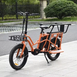 Cargo Bicycle 500W Electric Bicycle 48V Dual Battery 20 Tire Electric Bike for Adult
