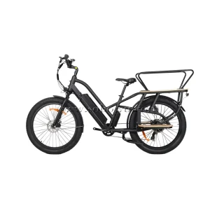 Cargo Bicycle Hidden Battery Unique Design Electric Bike With Guard Rail