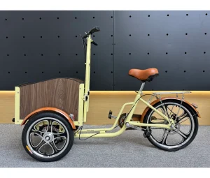 Cargo Bicycle Trailer Customized Cargo Bike Adult Tricycle Trike Three Wheel