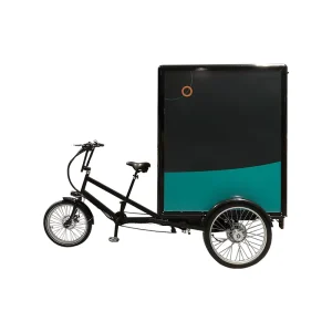 Cargo Bike 3 Wheel Electric Bicycle Tricycle Cargo Bike with Big Box