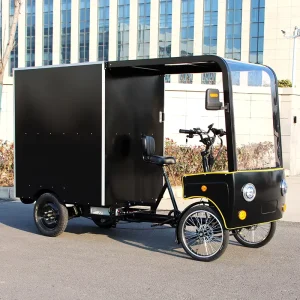Cargo Bike 48V 850W Parcel Delivery Quadracycle Pedal Assist 4 Wheels Electric Bike with Case