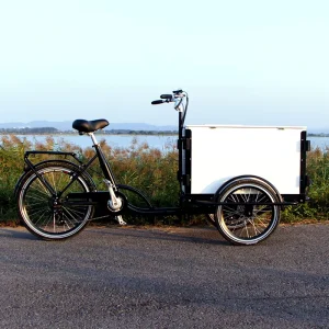 Cargo Bike Adult Tricycle with Child Safe Seat