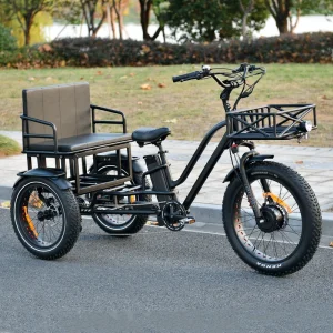 Cargo Carrier Electric Tricycle Front Drive Family Electric Cargo Bike Fat Tire With Differential Balance Electric Trike