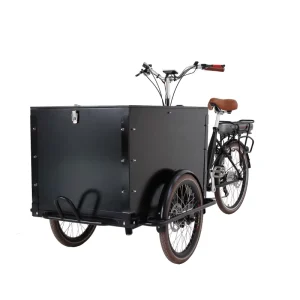 Cargo Close Bike Three Wheel Bike with LED Screen