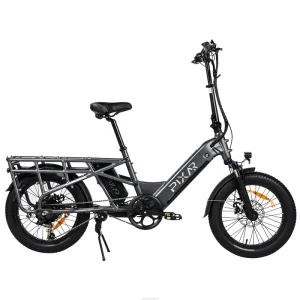 Cargo E Bike 250W 20*.0inch 20.4Ah City Electric Bicycle