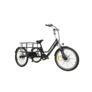 Cargo E bike Dutch Cargo Bike 3 Wheel Electric Bicycle Three Wheels Adults Cargo Bike