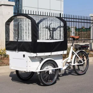 Cargo E-bike Front Loading Front Open Door Heavy Duty Bike 3 Wheels Electric Cargo Bike Bakfiets Cargobike Trailer E-cargo Bike