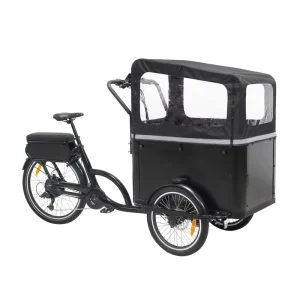 Cargo Ebike 3 Wheels 500W Electric Bike Electric Tricycle for Adults