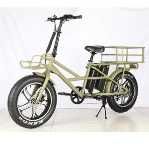 Cargo Ebike in Electric Bicycle Delivery Food with Double Battery