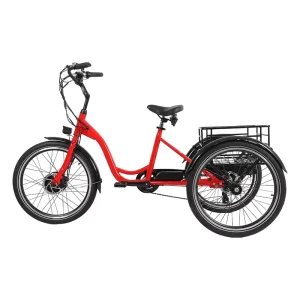 Cargo Electric Pedicab 48V Lithium Battery Durable 3 Wheel Electric Bike