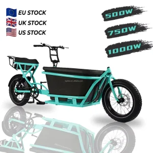Cargo Electric Pet E-Bike with Long Range Aluminum Frame Three Tire Hydraulic Brakes Fat Tire Bike Rear Hub Motor Suspension