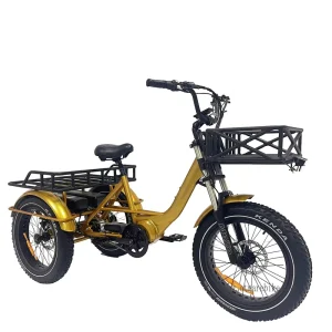 Cargo Electric Tricycle Mid Fat Tire Electric Bicycle Snow Ebike 1000w Double Lithium Battery Electric Bike