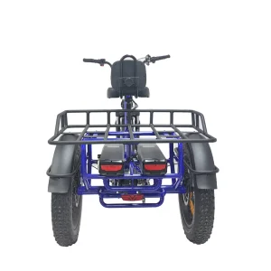 Cargo Electric Tricycle With Rear Basket Mid Drive 3 Wheel Electric Bike Battery 48v 20ah Double Long Range China Ebike