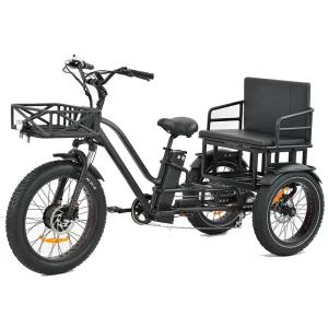 Cargo Tricycle Electric Bike Family 3wheel Electric Bike 2 Person Seat Electric Tricycle With Passenger Seat