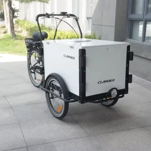 Cargo Use Three Wheel Electric Cargo Bike with Front Close Wood Box