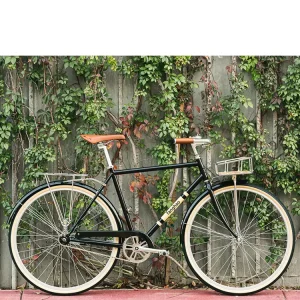 Casual Retro Classic City Bike Customized Adults Single Speed Bicycle 28 Inch Urban Women Cycle