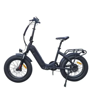 Ce Foldable Long Range Powerful Motor Electric Bike Electric Bicycle