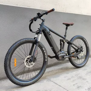 Central Motor 8 Speed Dual Suspension Alloy Frame Fat Tire Electric Mountain Bike Downhill Bicycle Cross-country