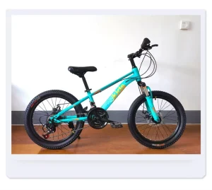 Child Bike 20inch Steel Simple Blue Steel Kids Bike Bicycle for Sale