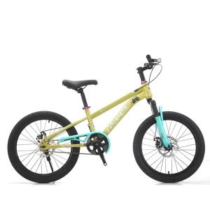 Children 16 18 20 22 Inch Schoolboy Outdoor Sports Single Speed Disc Brake Front Suspension High Carbon Mountain Bike