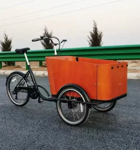Children Cargo Bike Electric Tricycles Motor Bike Battery Cargo Ebike
