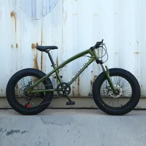 Children Fat Tire Bike
