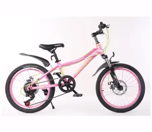 Children’s 20 Inch Carbon Steel Frame BMX Bike with 21 Speed Gears Disc Brake Ordinary Pedal