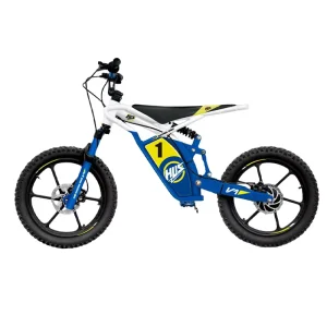 Children’s Electric Balance Bike Small Ebike 16 Inch Youth Power-assisted Children’s Electric Balance Bike