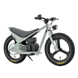 Children’s Electric Bike 150W 24V Child’s Electric Balance Bicycle 16″ Kids Ebike