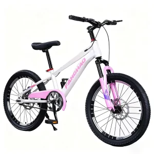 Children’s Variable Speed Mountain Bicycle for Boys Girls Mountain Sports Youth Bike Adjustable Speed Off road Bike