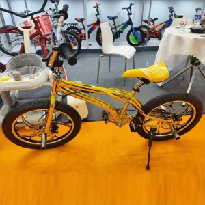 China Bicicleta BMX Bike Freestyle Extreme Sports Performance Street Bicycle