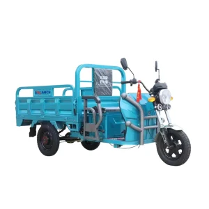 China CE Certified 0.8kW Electric Adult Trike Scooter 60V 20Ah Cargo Rickshaw Bike 400kg Payload Capacity Motorized Open Driver