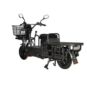 China Cargo Bike Electric 3 Wheel Cargo Tricycle Bicycle