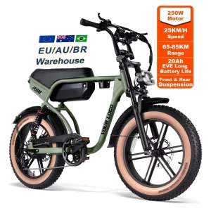 China Electric Bicycle Manufacturers E bike Rear Hub Motor 20inch Fat Tire Two Seat Electric Bike