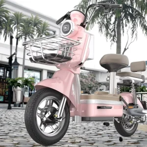 China Electric Bicycle Motorcycle Moped 350W48V Ebike Electric Scooter Bike for Sale