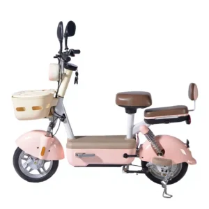 China Electric Bikes Durable Two Electric Bicycle Shandong Factory E Bike Bicycle